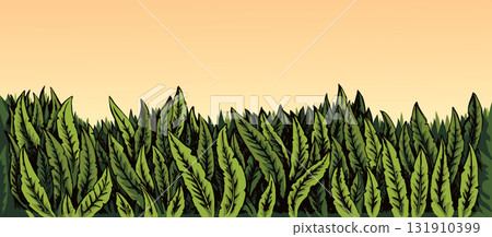 Vector grass background with space for text. Vector grass background with space for text. 131910399