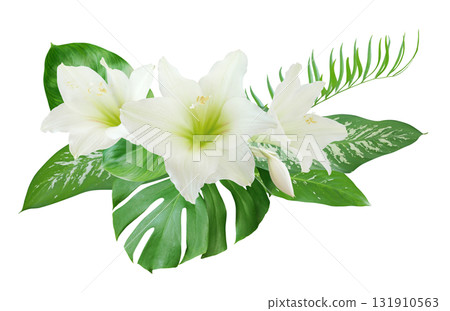 White Lily flower with monstera leaves bouquet for card and decoration White Lily flower with monstera leaves bouquet for card and decoration 131910563