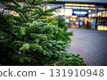 New Year Tree Selling At A Christmas Tree Market 131910948