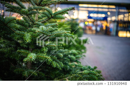 New Year Tree Selling At A Christmas Tree Market New Year Tree Selling At A Christmas Tree Market 131910948