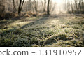 In The Mysteriously Frosty Morning, The Forest And Green Grass Glisten With Icy Dew 131910952