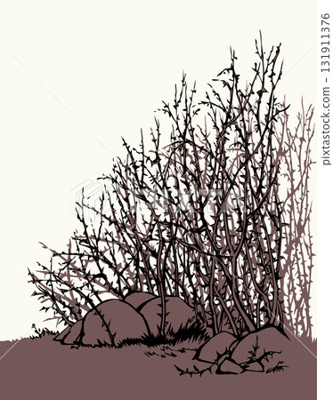 Vector drawing. The thorn bushes Vector drawing. The thorn bushes 131911376
