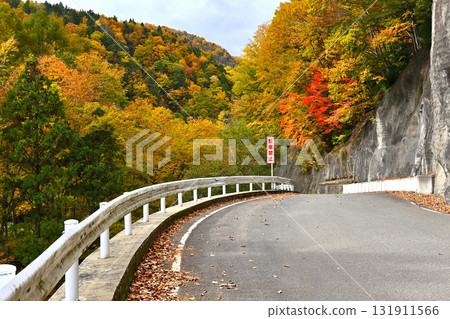 Image of a drive through autumn leaves Image of a drive through autumn leaves 131911566