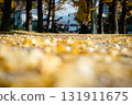 落到地上的銀杏葉 131911675