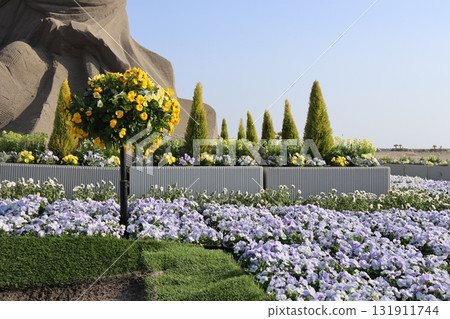 Fashionable cherry blossom viewing 131911744