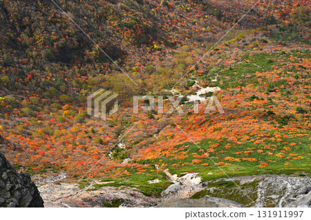 那須高原姥平的紅葉 那須高原姥平的紅葉 131911997