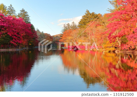 Autumn leaves of the cloud pool pond 131912500