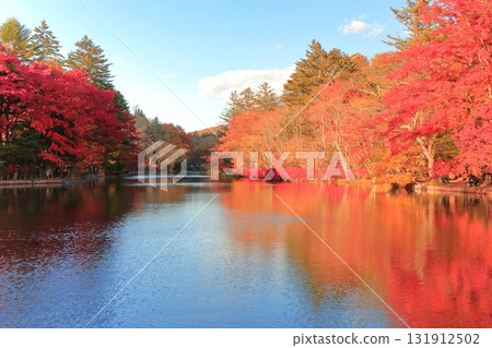 雲池池塘的秋葉 131912502