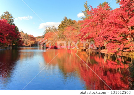 雲池池塘的秋葉 131912503