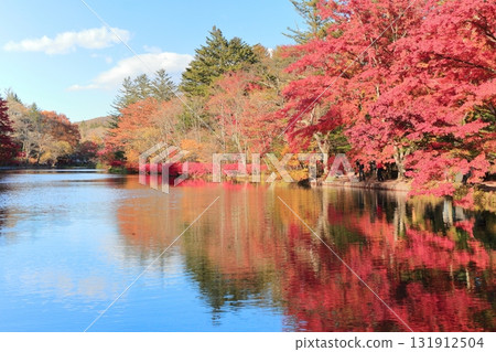 雲池池塘的秋葉 131912504