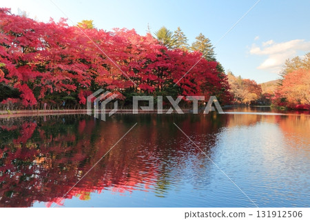 Autumn leaves of the cloud pool pond 131912506