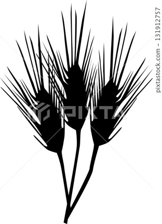 Wheat silhouette 131912757