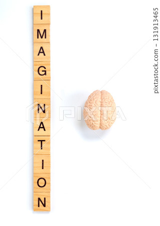 Imagination Concept with Brain and Wooden Letter Tiles on White Background Imagination Concept with Brain and Wooden Letter Tiles on White Background 131913465