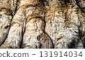 Luxurious soft brown fur texture 2 131914034