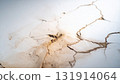 Texture background of natural cracks in the ground 131914064