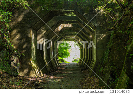 Former Kumanobu Railway "Octagonal Tunnel" 131914085
