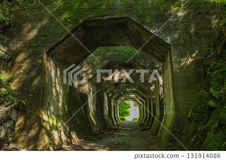 Former Kumanobu Railway "Octagonal Tunnel" 131914086