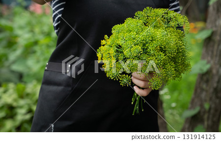 Person holding a vibrant bouquet of fresh green herbs in a lush garden setting on a sunny day Person holding a vibrant bouquet of fresh green herbs in a lush garden setting on a sunny day 131914125