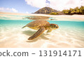Sea turtles gliding through the clear blue waters and tropical scenery 131914171