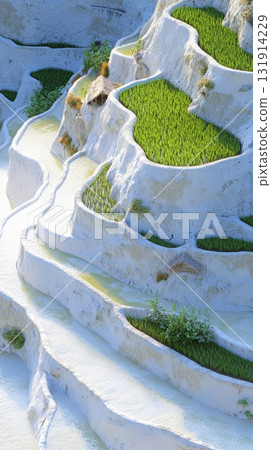 3d terraced rice fields carved into vertical cliffs with early morning mist and pastel sunrise glow 3d terraced rice fields carved into vertical cliffs with early morning mist and pastel sunrise glow 131914229