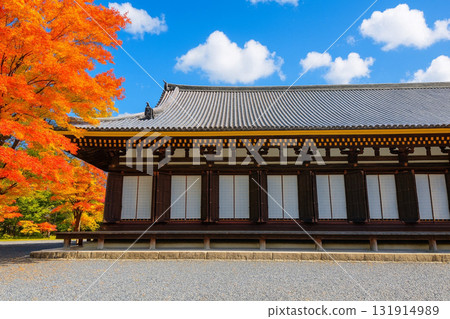 三十三間堂的紅葉 131914989