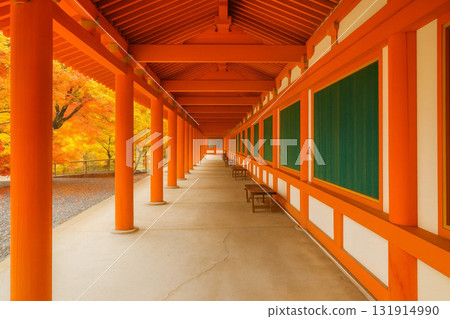 迴廊庭園 三十三間堂 秋葉 131914990