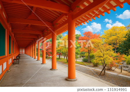 迴廊庭園 三十三間堂 秋葉 131914991