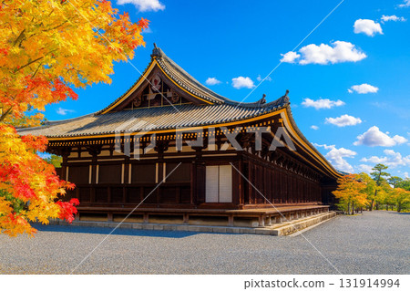 三十三間堂的紅葉 131914994