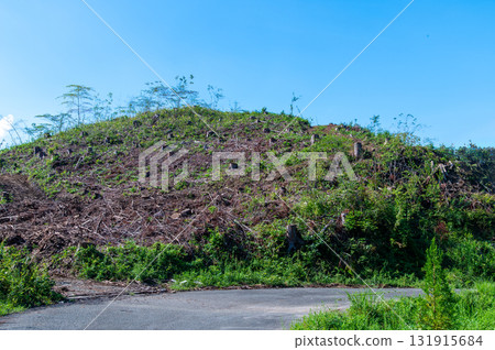 森林砍伐的禿山 131915684