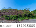 deforested bald mountain 131915685