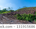 deforested bald mountain 131915686