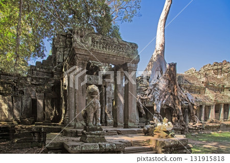 Ancient temple ruins with trees Angkor Wat Cambodia Ancient temple ruins with trees Angkor Wat Cambodia 131915818