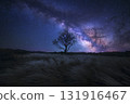 Tree stands in a field of tall grass under a sky full of stars 131916467