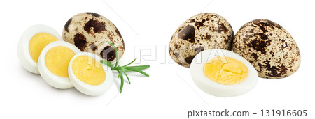 boiled quail egg isolated on white background with full depth of field boiled quail egg isolated on white background with full depth of field 131916605