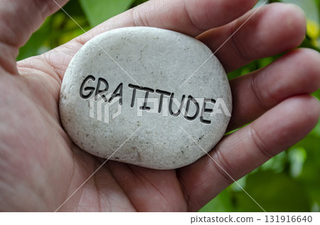 Hand holding a white stone with GRATITUDE text engraved on it, representing life purpose centered on thankfulness and mindful living 131916640
