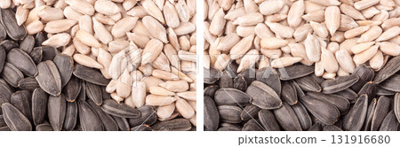 Sunflower seeds close up as background Sunflower seeds close up as background 131916680
