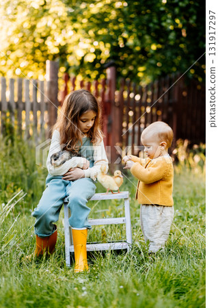 Kids enjoying time with baby animals in the garden. Kids enjoying time with baby animals in the garden. 131917297