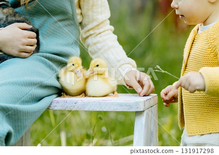 Kids enjoying time with baby animals in the garden. Kids enjoying time with baby animals in the garden. 131917298