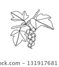 Black and White Outline Drawing Currant Branch 131917681