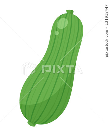 Illustration material of one loofah Illustration material of one loofah 131918447