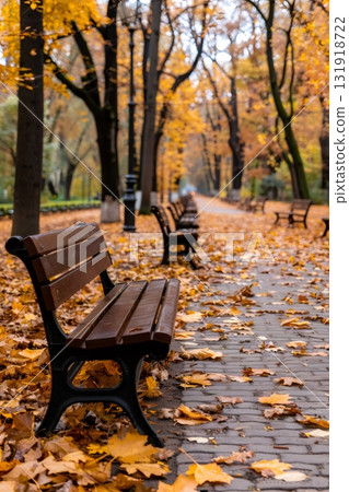 Empty park benches lining an autumn alley 131918722