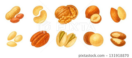 Watercolor nuts realistic set, color collection, forest and garden clipart, traced vector. Peanuts, cashews, walnuts, hazelnuts, almonds, pine nuts, pecans, pistachios, macadamia nuts, brazil nuts 131918870
