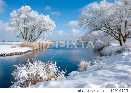 Winter river flowing between snow covered trees and fields 131919105