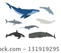 Vector set of flat hand drawn whales 131919295