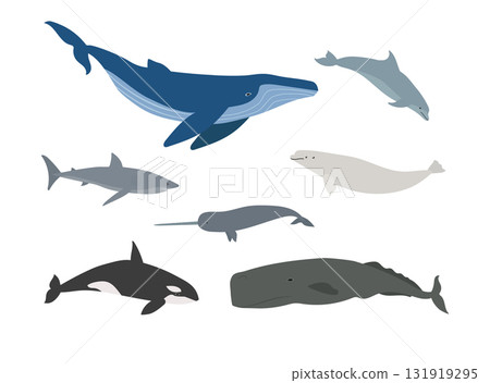 Vector set of flat hand drawn whales 131919295