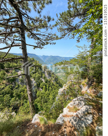 Canyon river meandering among green forested mountains; nature landscape photography under blue sky 131919525
