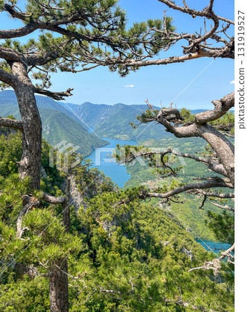 Canyon river meandering among green forested mountains; nature landscape photography under  blue sky 131919527