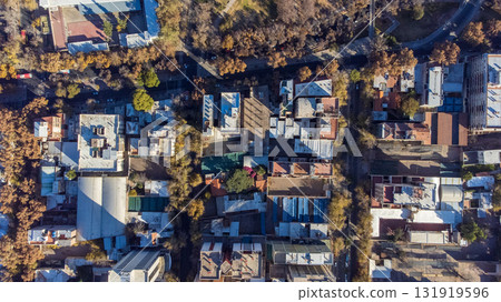 Aerial view of the city of Mendoza. 131919596