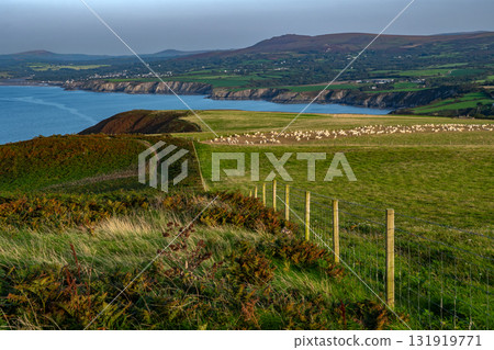 Coastal Path At The Wild Atlantic Coast Of Dinas Head In Pembrokeshire In Wales, United Kingdom Coastal Path At The Wild Atlantic Coast Of Dinas Head In Pembrokeshire In Wales, United Kingdom 131919771