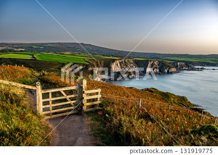Coastal Path At The Wild Atlantic Coast Of Dinas Head In Pembrokeshire In Wales, United Kingdom Coastal Path At The Wild Atlantic Coast Of Dinas Head In Pembrokeshire In Wales, United Kingdom 131919775